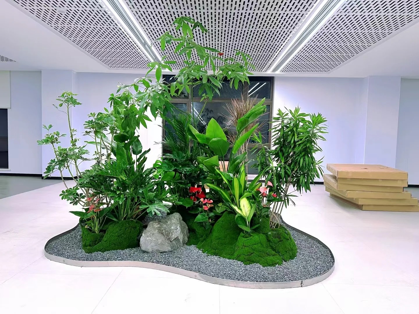 余姚植物租赁公司，为你的空间注入自然活力